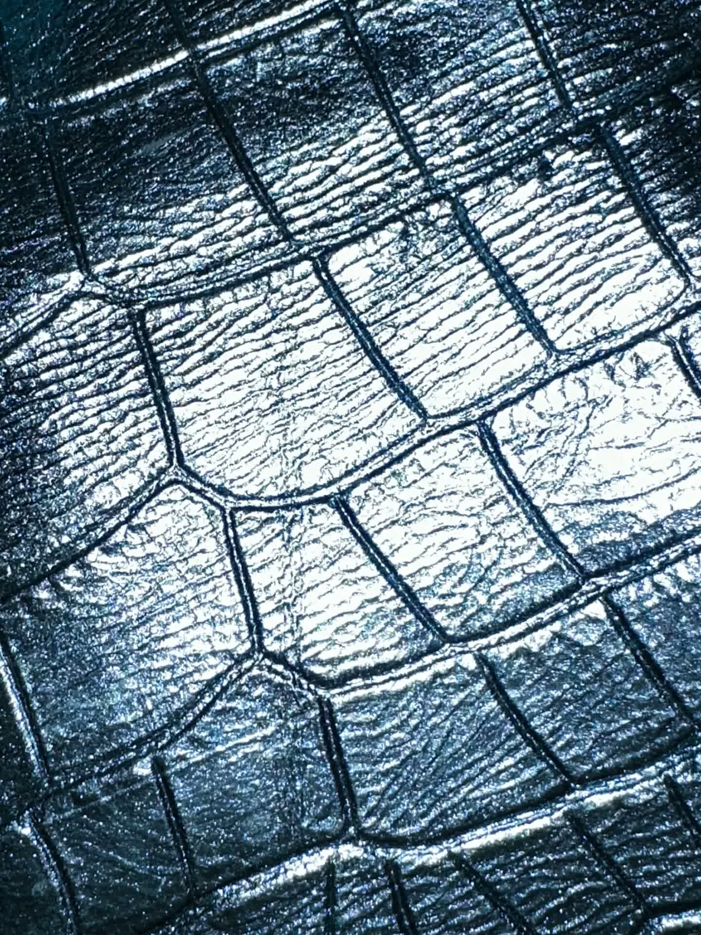 Metallic Croc Embossed